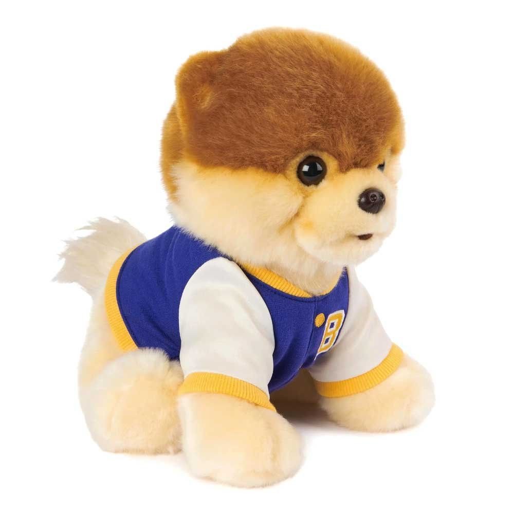 Wholesale GUND Boo, The Worlds Cutest Dog Varsity Jacket Plush Pomeranian Stuffed Animal, 9