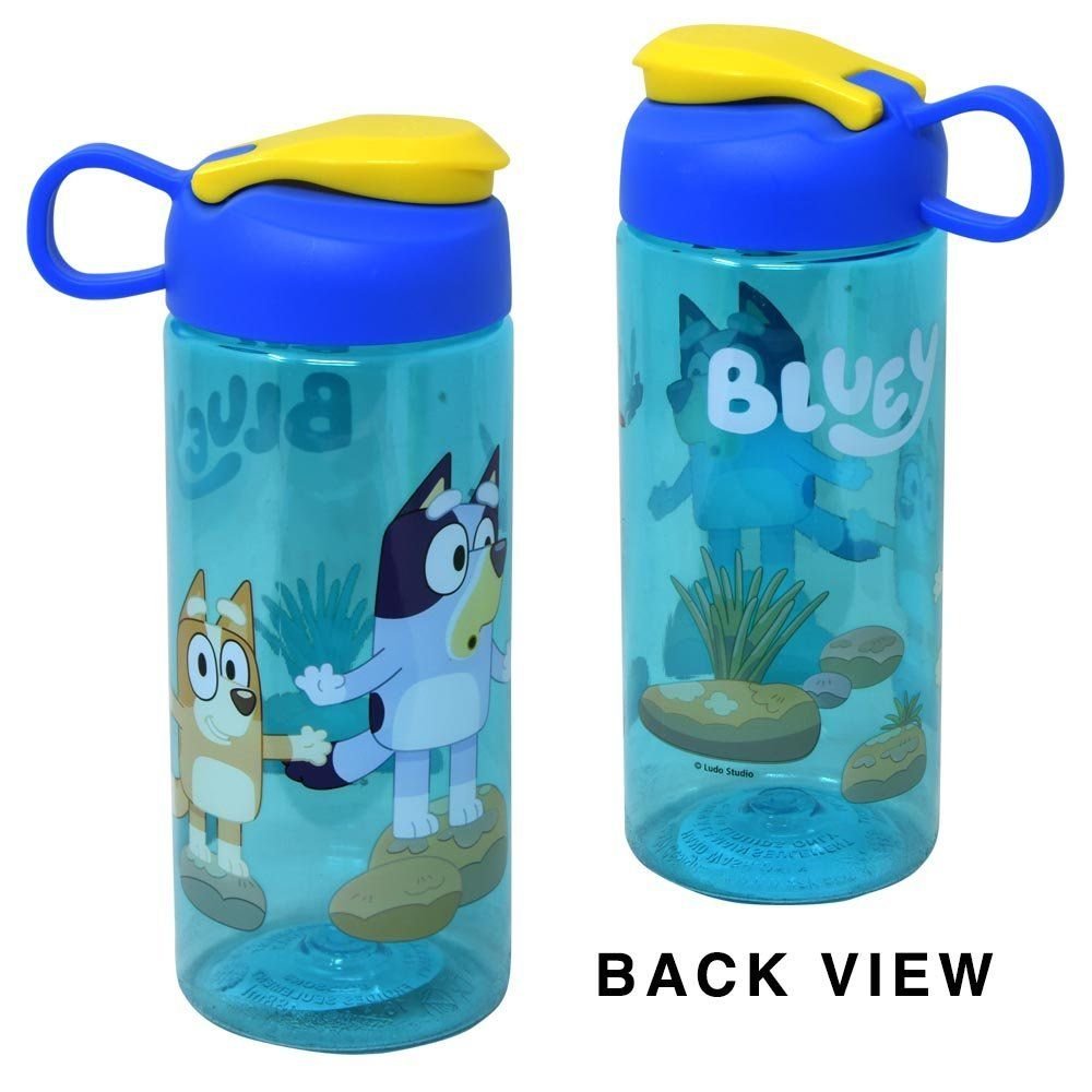 Wholesale Bluey 16.5oz Sullivan Bottle