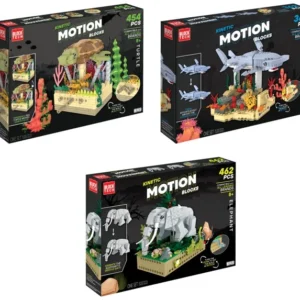 RMS Int'l Motion Blocks 3 Asst-Elephant/Shark/Turtle