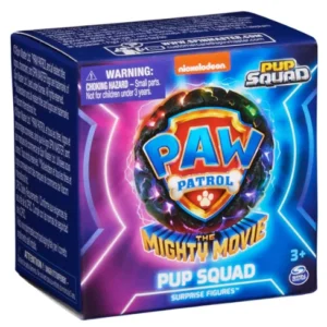 Spinmaster Paw Patrol Pup Squad Figure Assortment Cdu