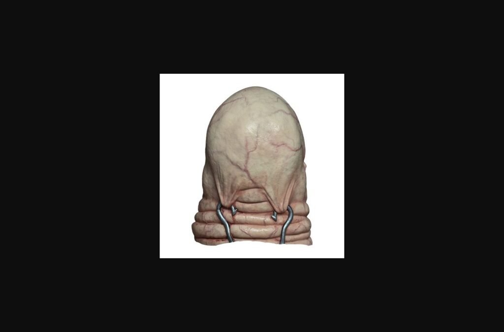 Hellraiser Butterball Latex Mask