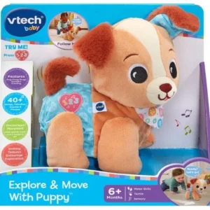 Vtech Vtech Baby Explore & Move With Puppy